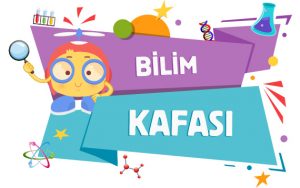 bilkaf